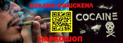 гашик Донской