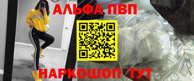 гашик Донской