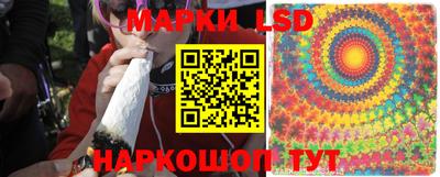 гашик Донской
