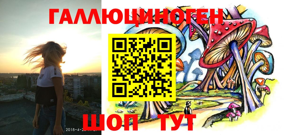 Галлюциногенные грибы Cubensis Дятьково