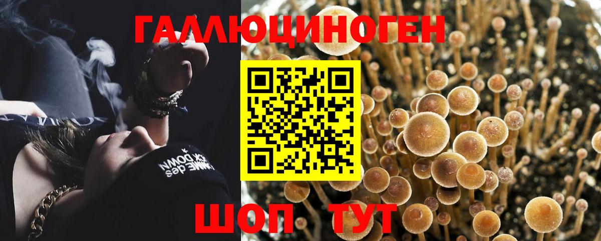 Дятьково  МАРИХУАНА  ТГК  ЭКСТАЗИ  Мефедрон кристаллы  ГАШ  Вход с VPN  Cocaine 