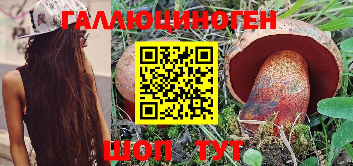 Галлюциногенные грибы MAGIC MUSHROOMS  Вход с VPN  Дятьково 