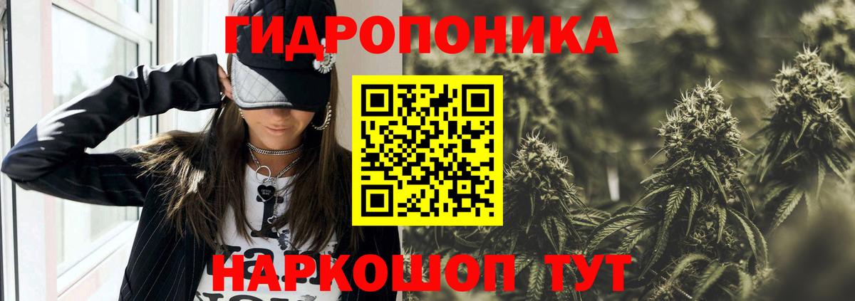 Канабис сатива Дятьково